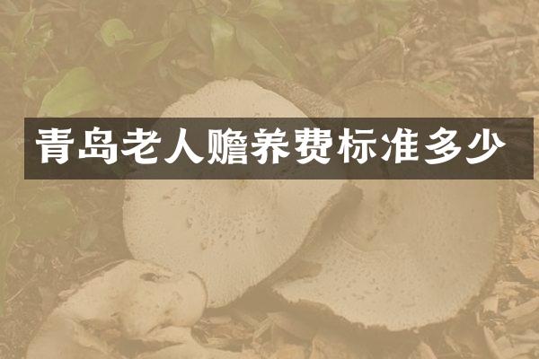 青岛老人赡养费标准多少
