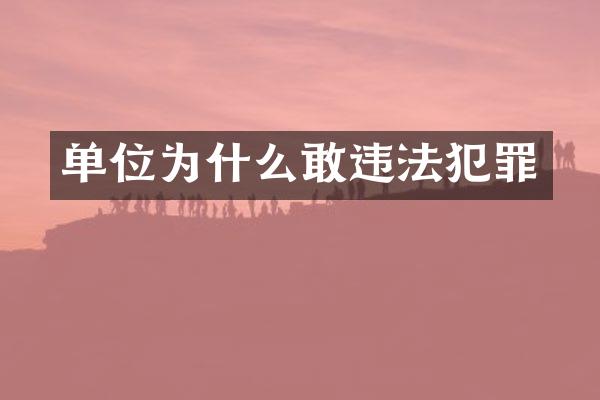 单位为什么敢违法犯罪