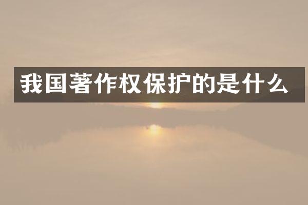 我国著作权保护的是什么