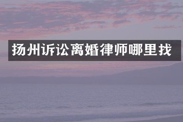 扬州诉讼离婚律师哪里找