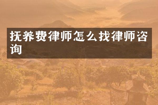 抚养费律师怎么找律师咨询