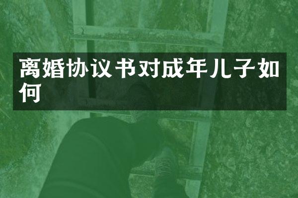 离婚协议书对成年儿子如何
