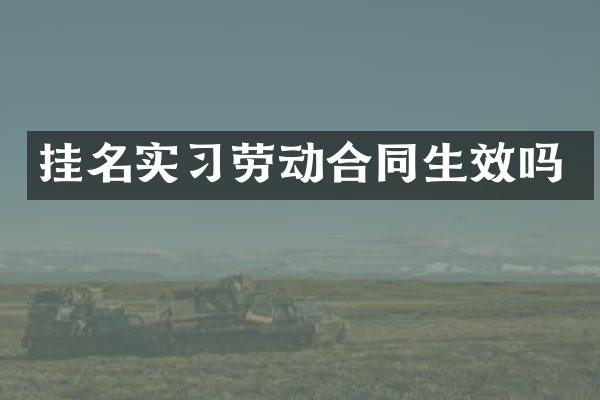 挂名实习劳动合同生效吗