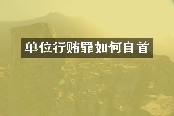 单位行贿罪如何自首