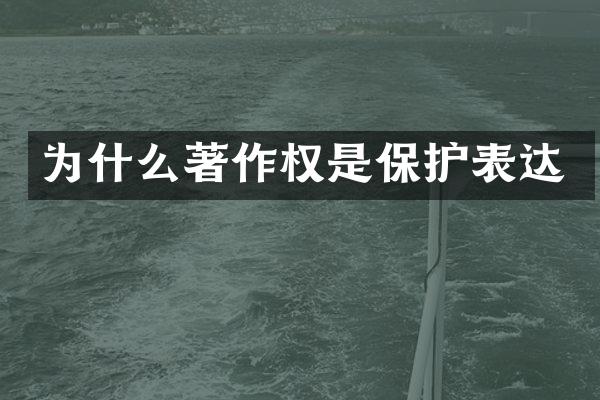 为什么著作权是保护表达