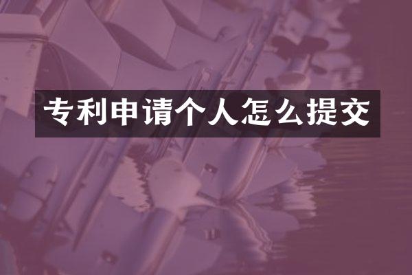 专利申请个人怎么提交