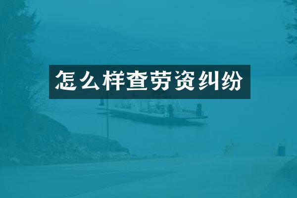 怎么样查劳资纠纷
