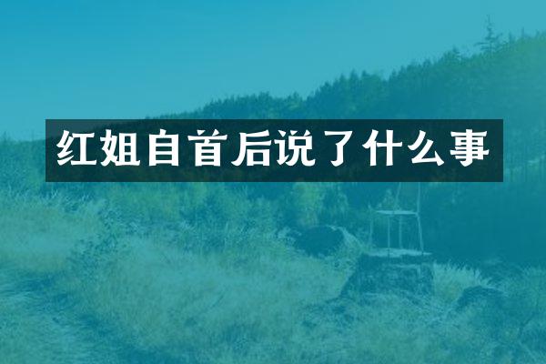 自首后说了什么事