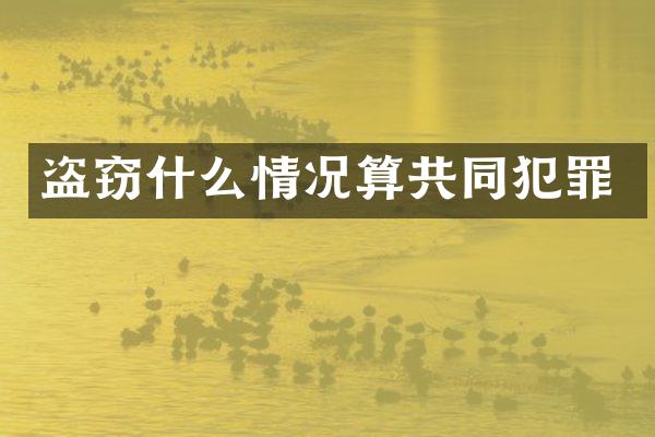 盗窃什么情况算共同犯罪