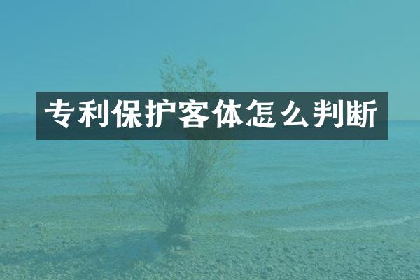 专利保护客体怎么判断