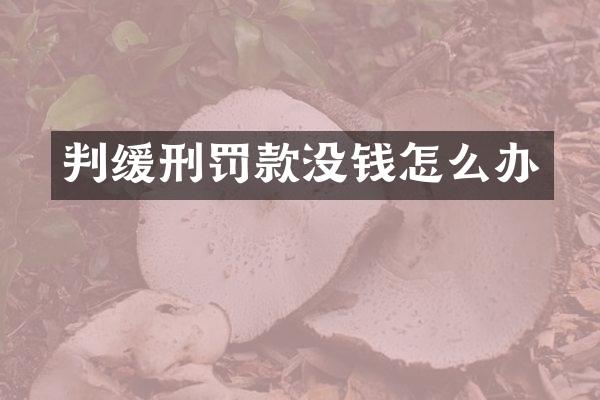判缓刑罚款没钱怎么办