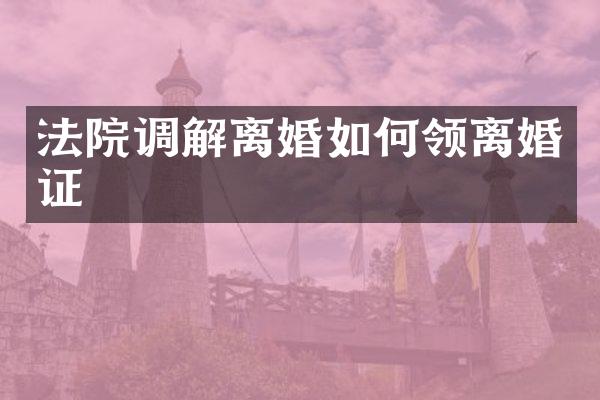 法院调解离婚如何领
