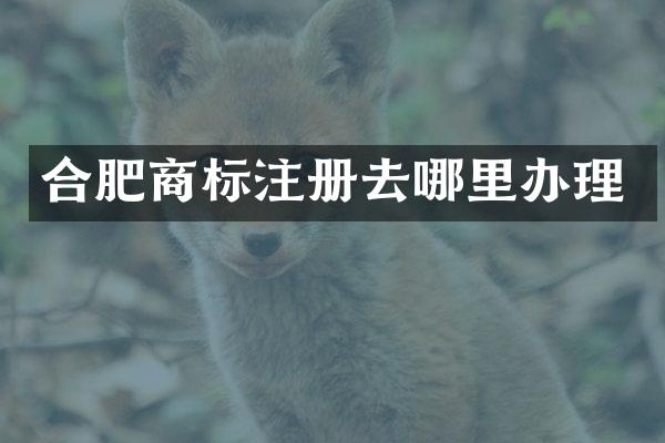 合肥商标注册去哪里办理