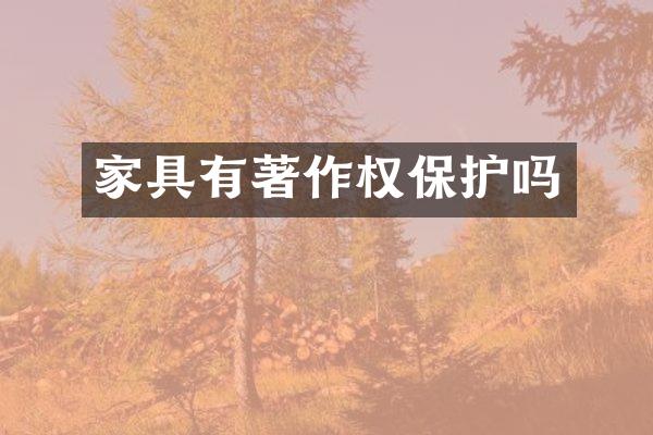 家具有著作权保护吗