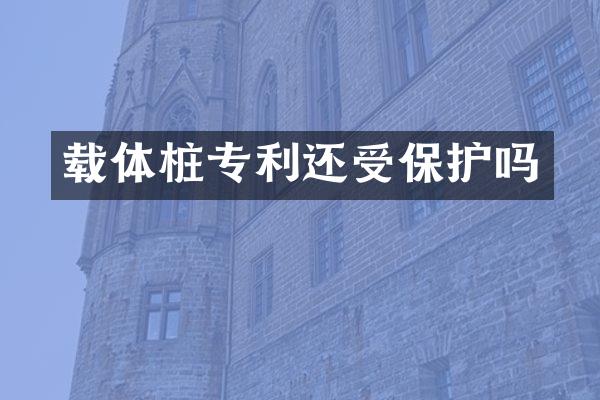 载体桩专利还受保护吗