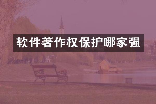 软件著作权保护哪家强