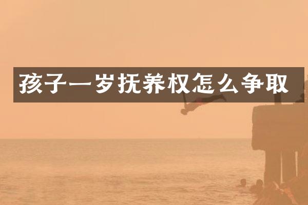孩子一岁抚养权怎么争取