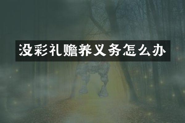没彩礼赡养义务怎么办