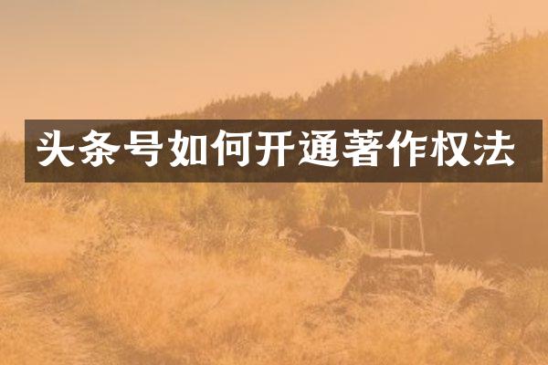 头条号如何开通著作权法
