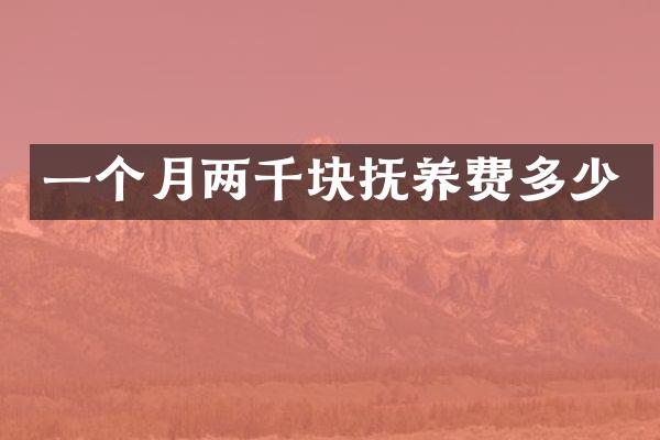 一个月两千块抚养费多少