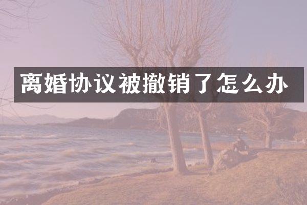 离婚协议被撤销了怎么办