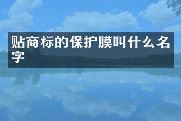 贴商标的保护膜叫什么名字