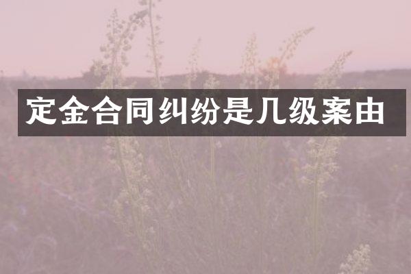 定金合同纠纷是几级案由