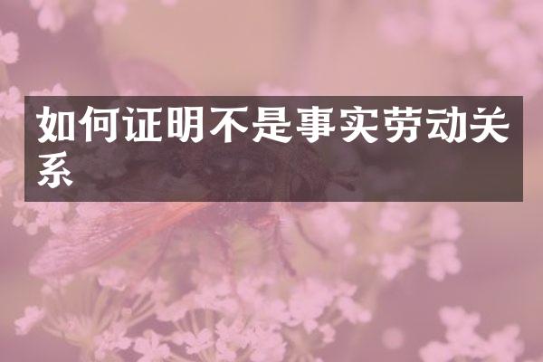 如何证明不是事实劳动关系