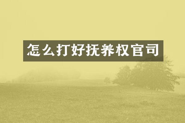 怎么打好抚养权官司