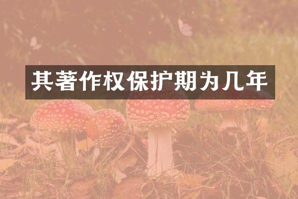 其著作权保护期为几年