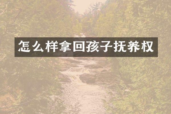 怎么样拿回孩子抚养权