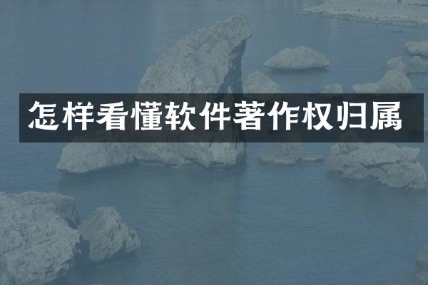 怎样看懂软件著作权归属