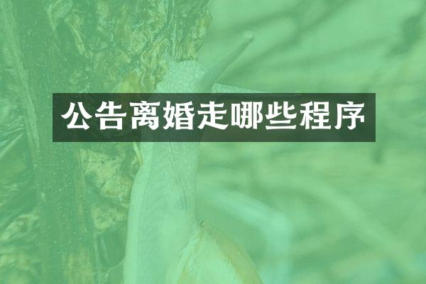 公告离婚走哪些程序