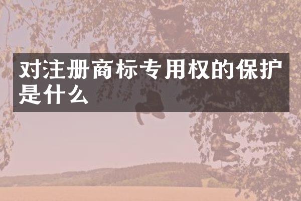 对注册商标专用权的保护是什么