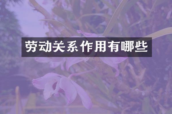劳动关系作用有哪些