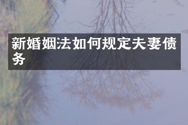 新婚姻法如何规定夫妻债务