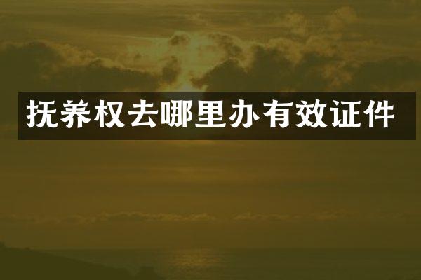 抚养权去哪里办有效证件