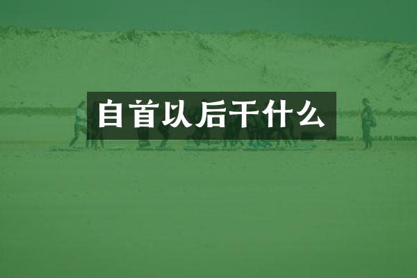 自首以后干什么