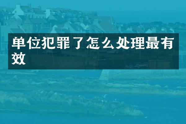 单位犯罪了怎么处理最有效