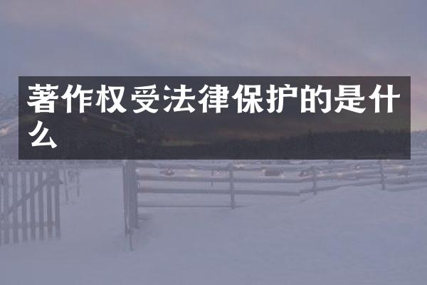 著作权受法律保护的是什么