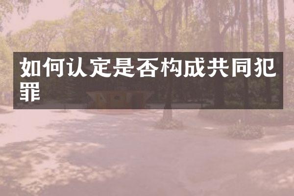 如何认定是否构成共同犯罪
