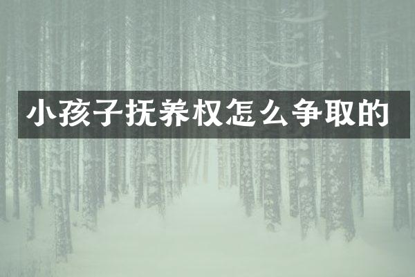 小孩子抚养权怎么争取的
