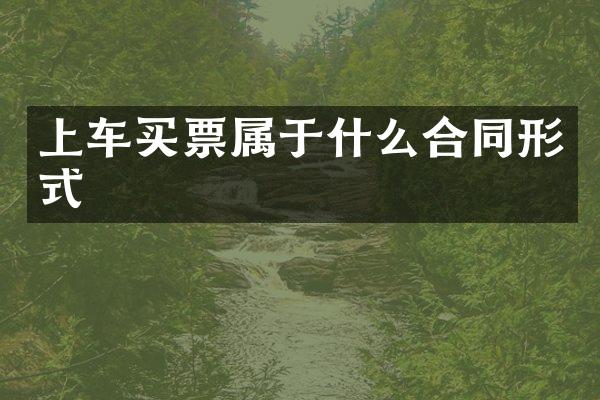 上车买票属于什么合同形式