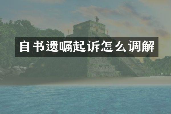 自书遗嘱起诉怎么调解