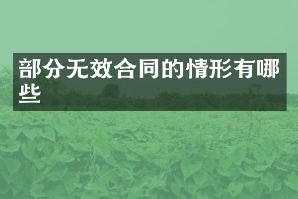 部分无效合同的情形有哪些
