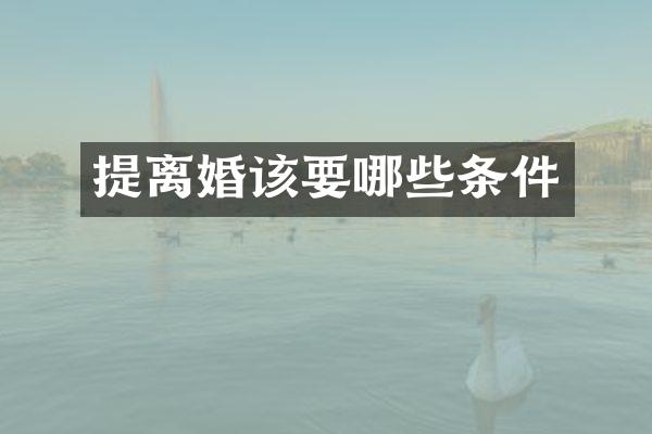 提离婚该要哪些条件