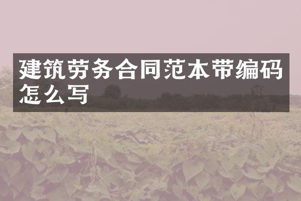 建筑劳务合同范本带编码怎么写