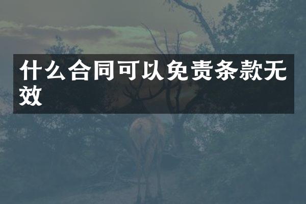 什么合同可以免责条款无效