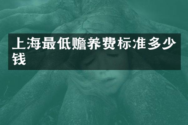 上海最低赡养费标准多少钱