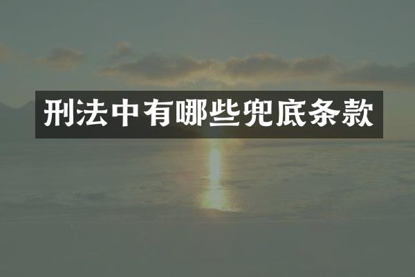 刑法中有哪些兜底条款